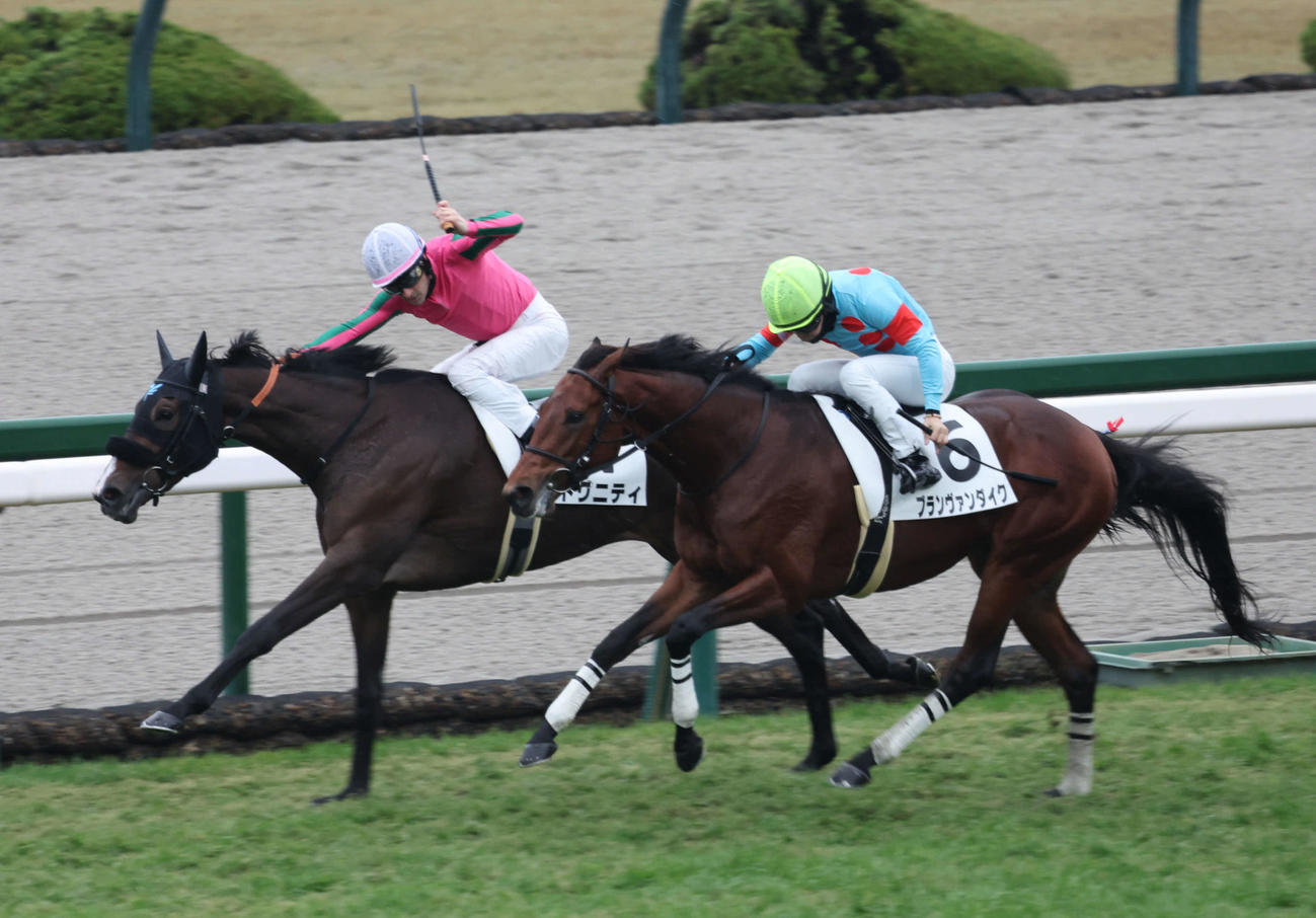 阪神5R、2歳新馬戦はルメール騎手のトリニティが直線で抜け出し初勝利を挙げた（撮影・西尾就之）
