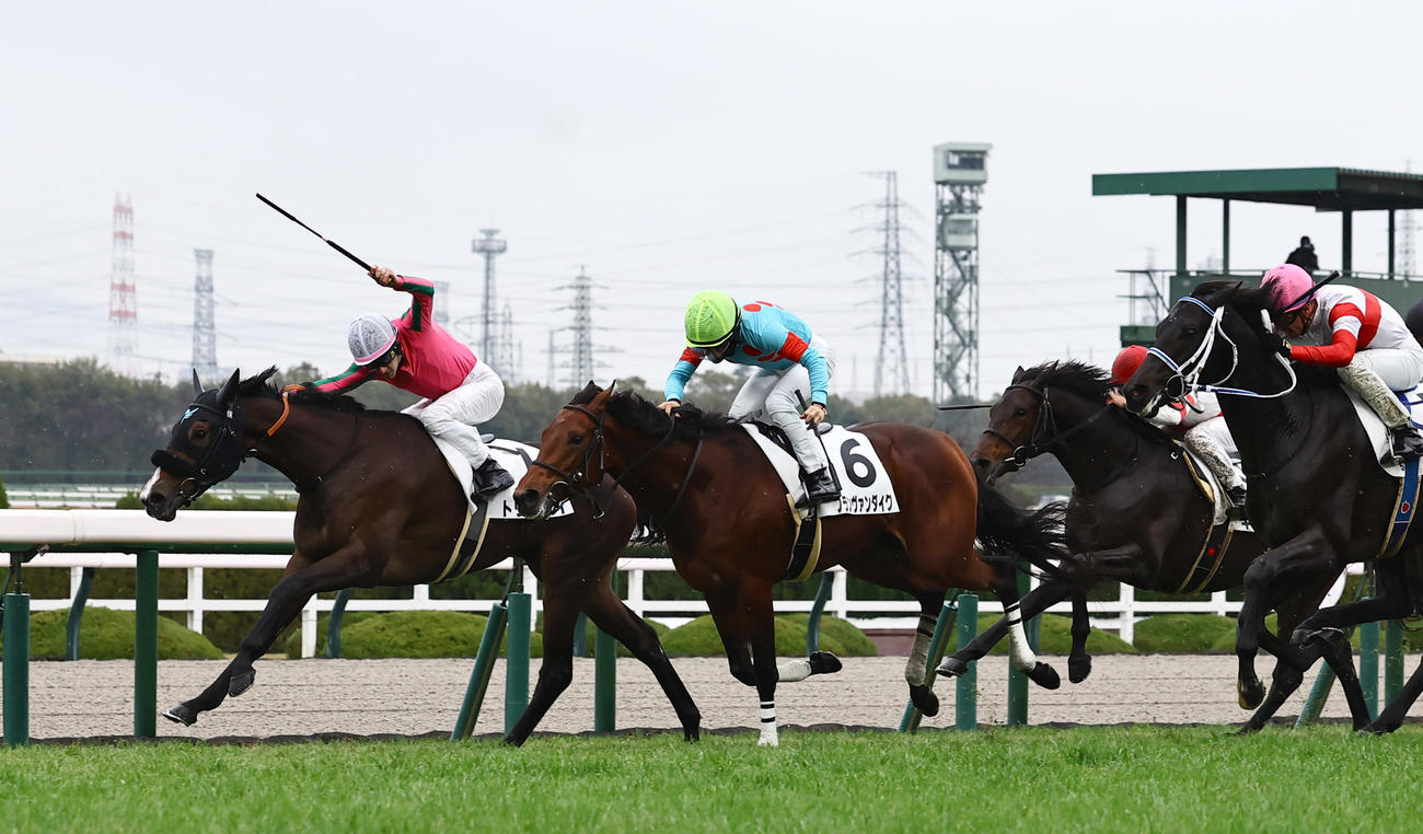 阪神5R、トリニティ（左）は新馬戦を制した（撮影・上田博志）