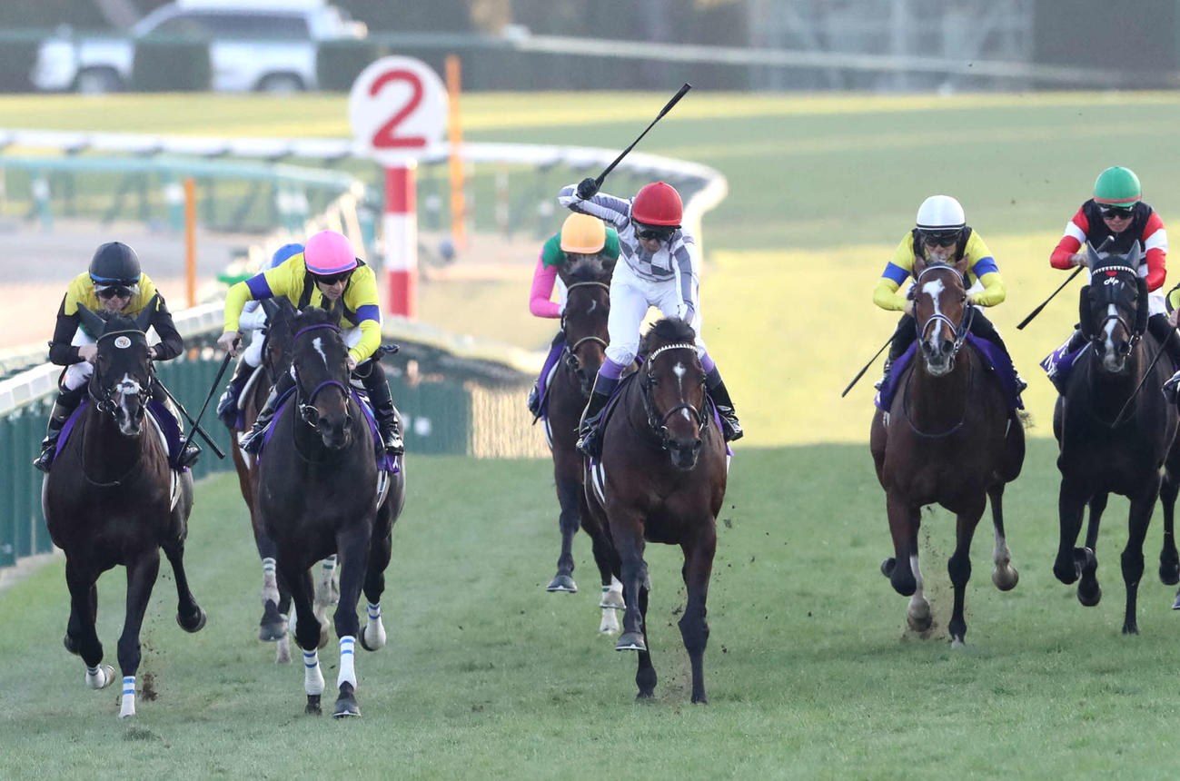 23年有馬記念を制したドウデュースと武豊騎手（中央）