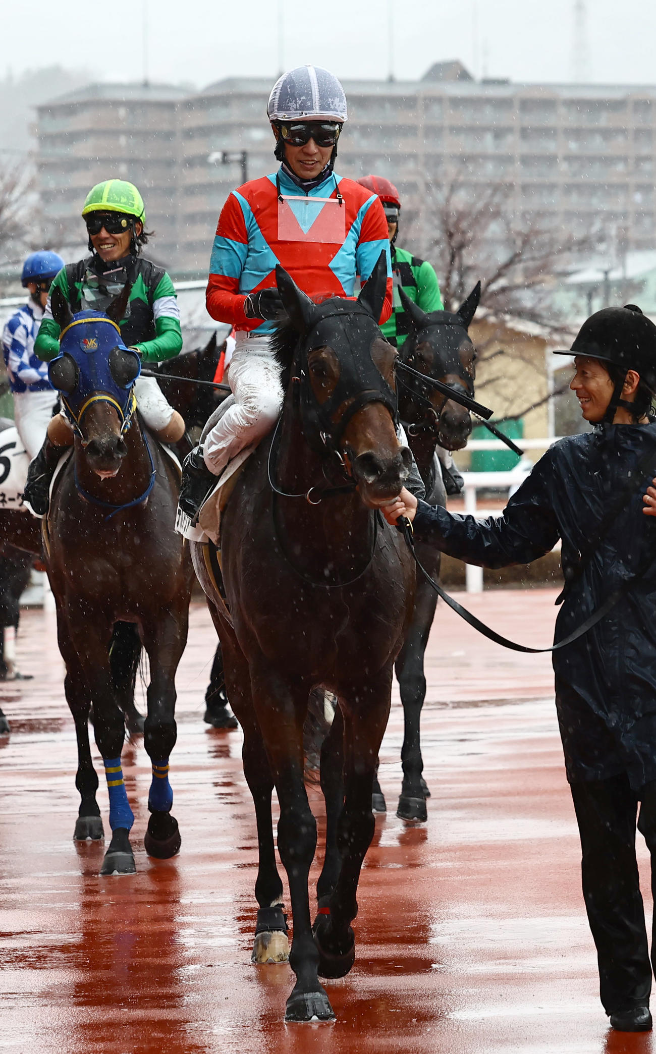 阪神8R 1着のデルアヴァーと武豊騎手（撮影・上田博志）