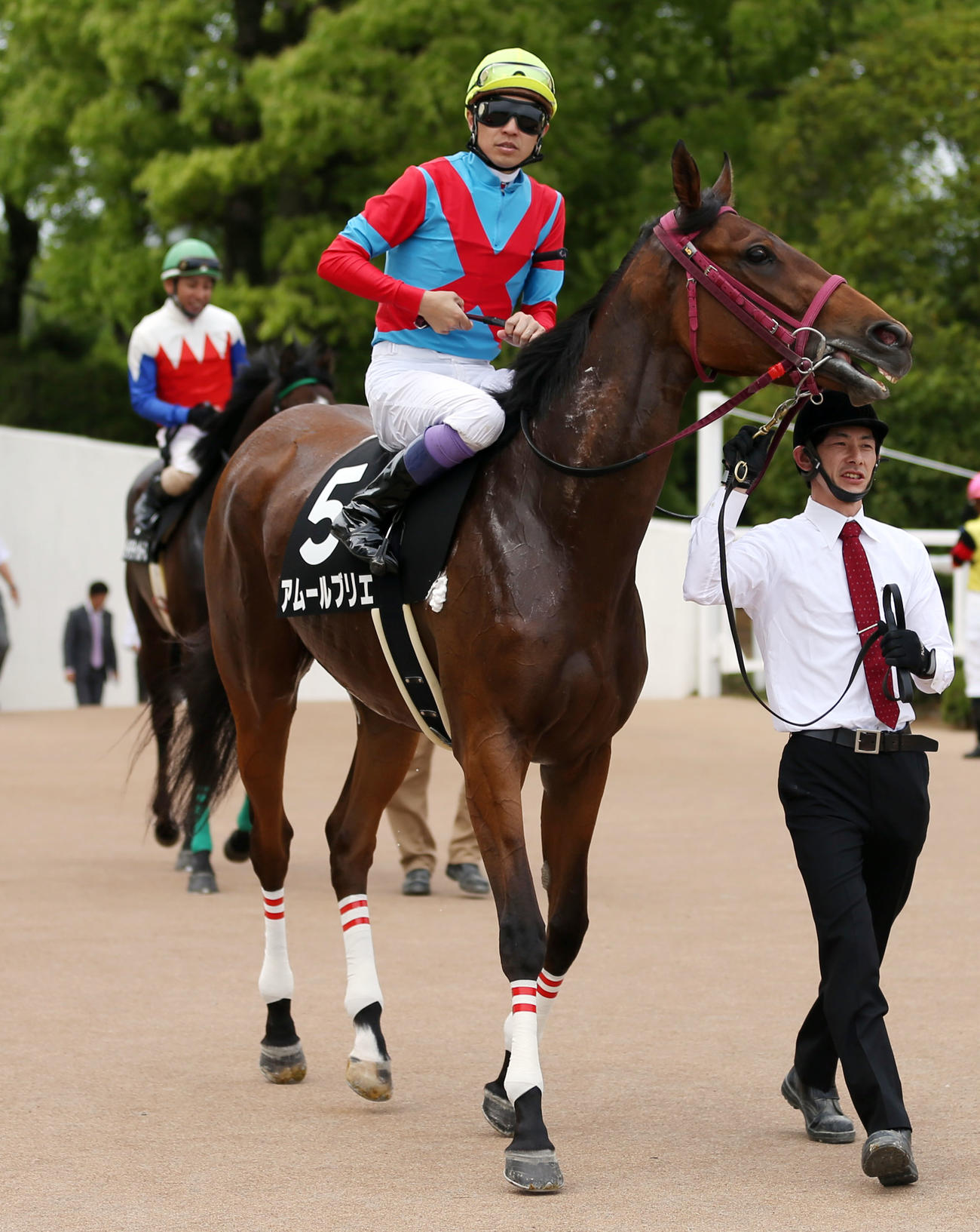 2014年5月、第3回京都競馬第10日・10R鳳雛ステークス　アムールブリエと武豊騎手