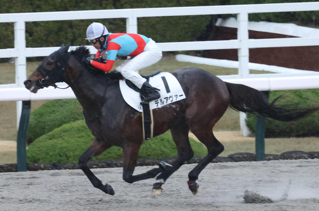 阪神8R 3歳以上2勝クラスを制したデルアヴァーと武豊騎手（撮影・西尾就之）