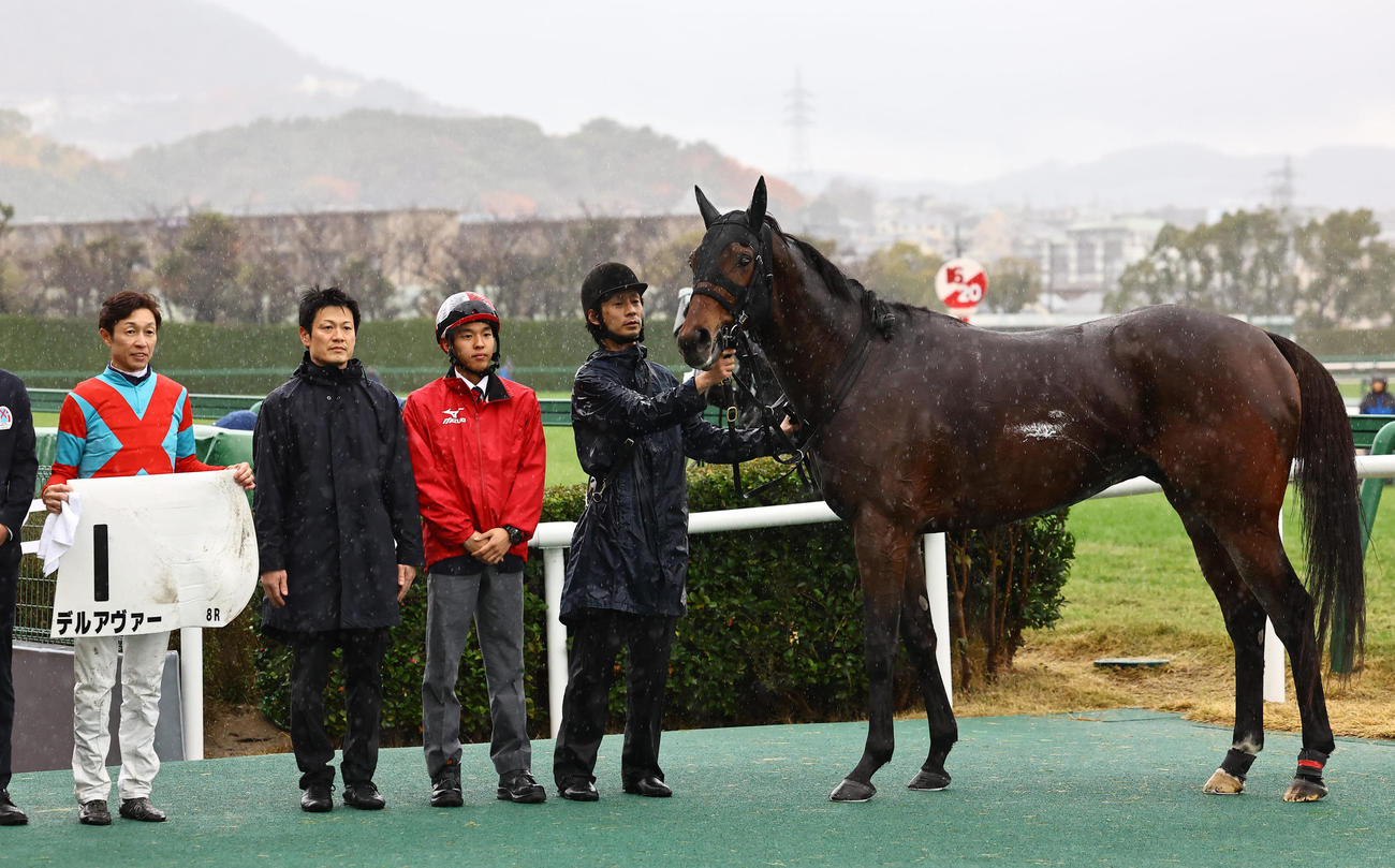阪神8R 1着のデルアヴァーと武騎手（撮影・上田博志）