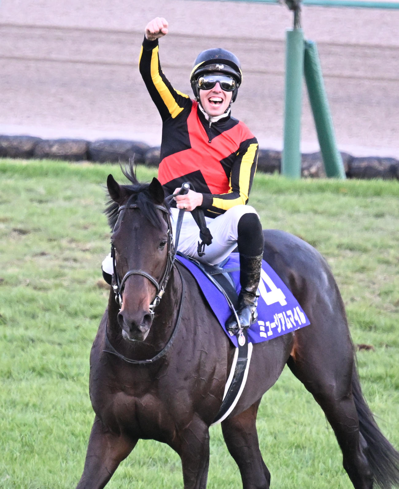 有馬記念をミュージアムマイルで制し、鞍上で喜ぶC・デムーロ騎手（撮影・千葉一成）