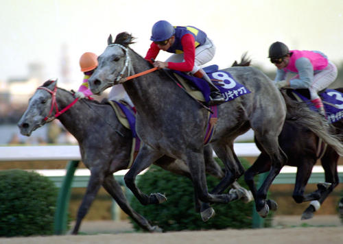 1990年、ラストランの有馬記念で優勝したオグリキャップ