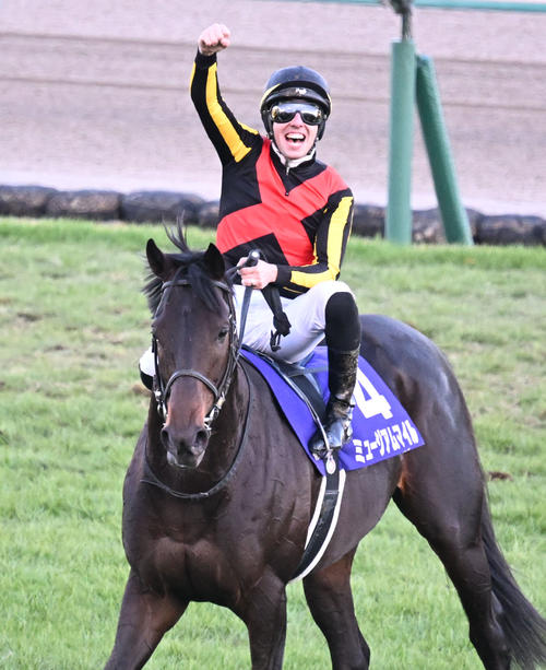 有馬記念まとめ情報】皐月賞馬ミュージアムマイルが古馬撃破で日本一
