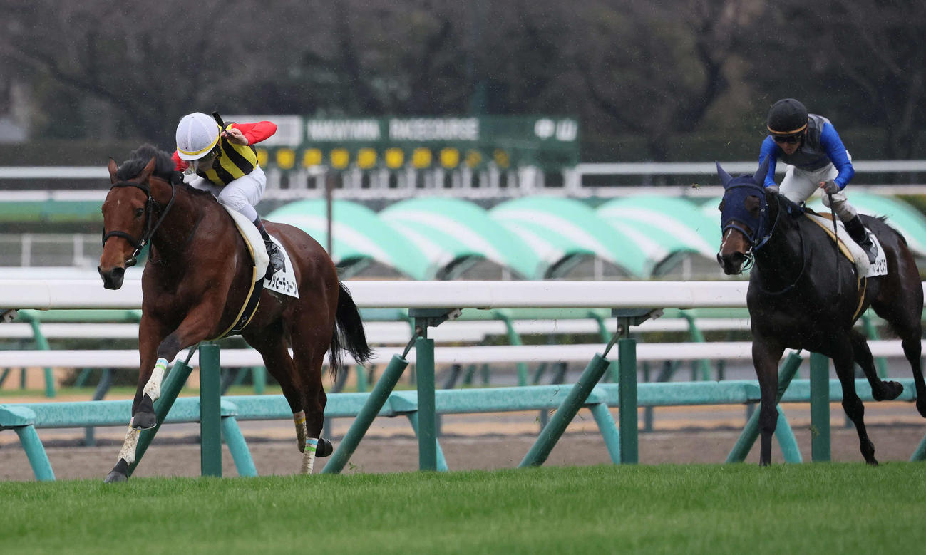中山7R、2歳未勝利戦を制したジッピーチューンと戸崎騎手（撮影・丹羽敏通）