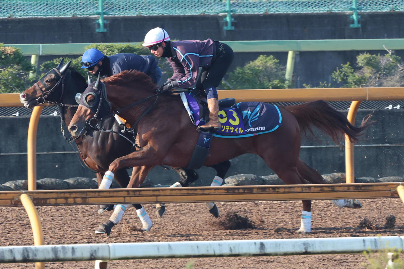 安田翔伍師が騎乗し追い切ったダノンデサイル