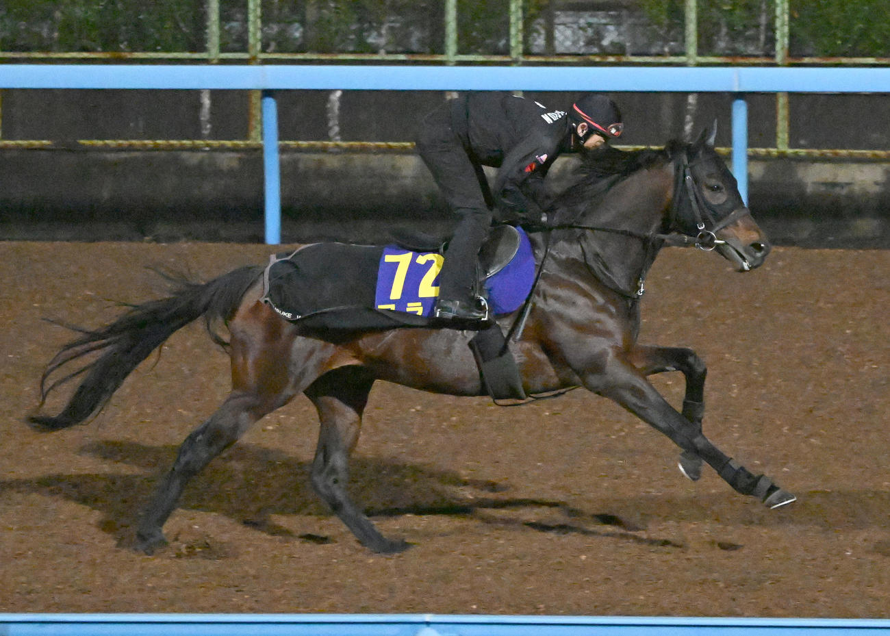 美浦ウッドを単走で追い切るアラタ（撮影・千葉一成）