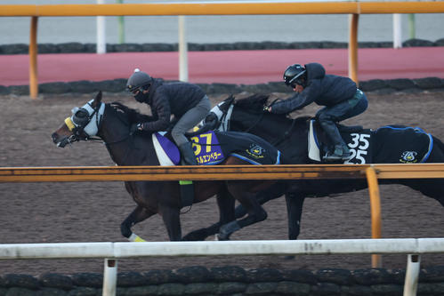 有馬記念】17年キタサンブラックでVの清水久師は2頭出し、選んだ漢字