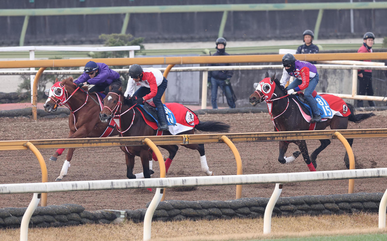 坂井瑠星騎手が乗り追い切ったシンエンペラー（左）