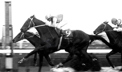 有馬記念】43年ぶりに重馬場の可能性も「激アツ」「今日の馬場なら