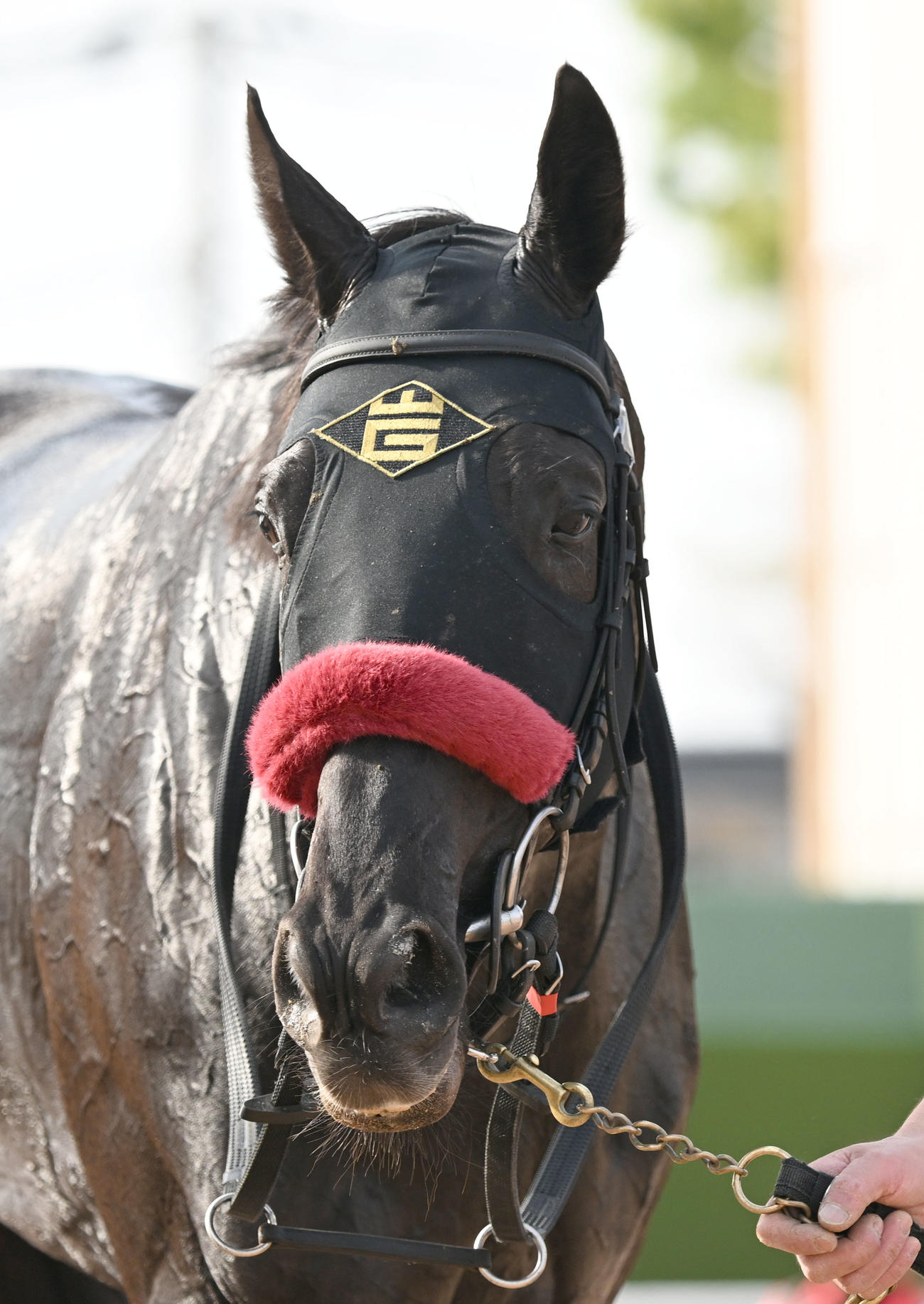 エコロデュエル（2025年4月19日撮影）
