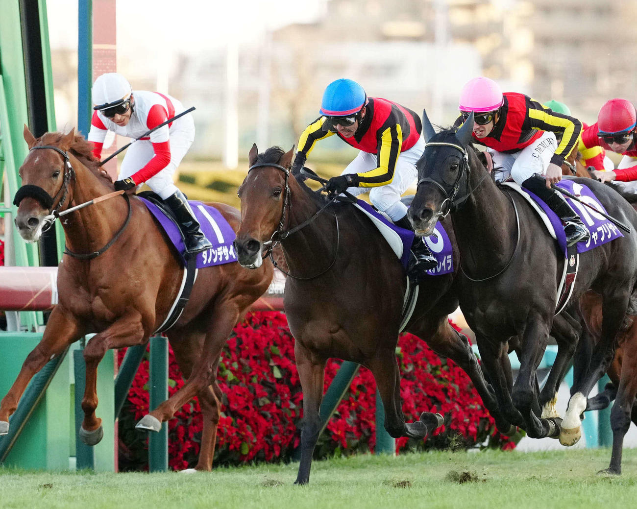 昨年の有馬記念を制したレガレイラ（中央）