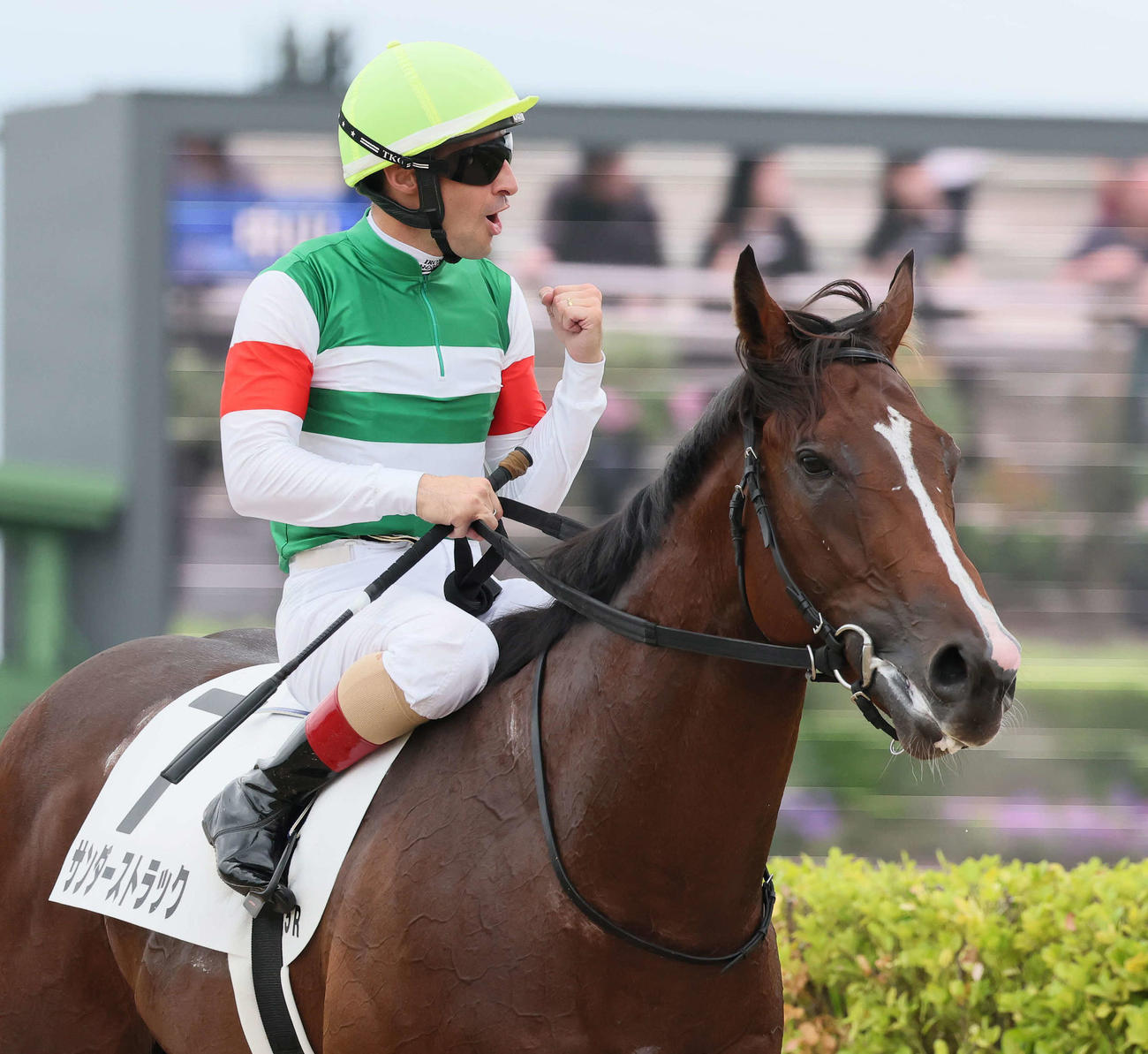 2歳新馬戦を制したサンダーストラック（2025年9月撮影）