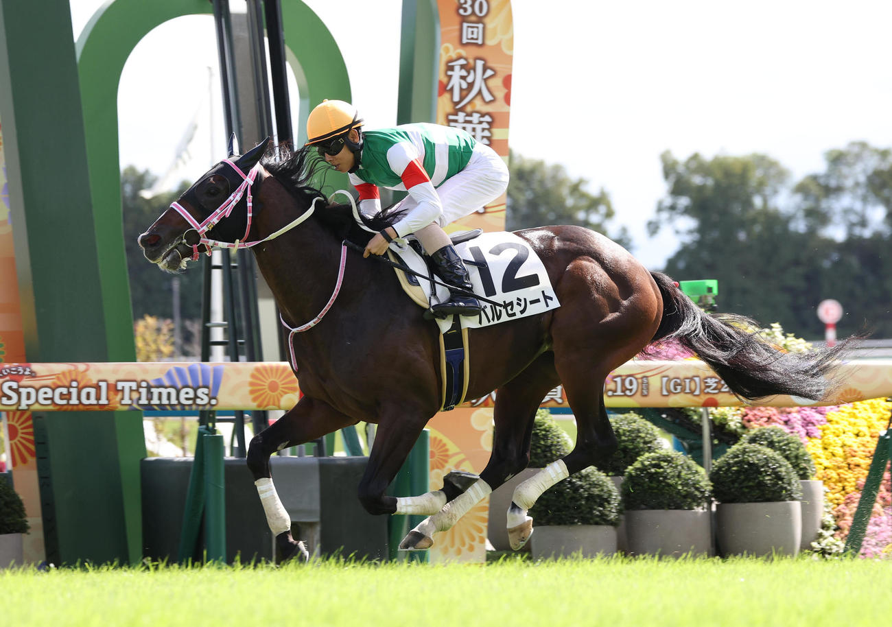 直線鋭く伸びて新馬戦を制したバルセシート（2025年10月撮影）