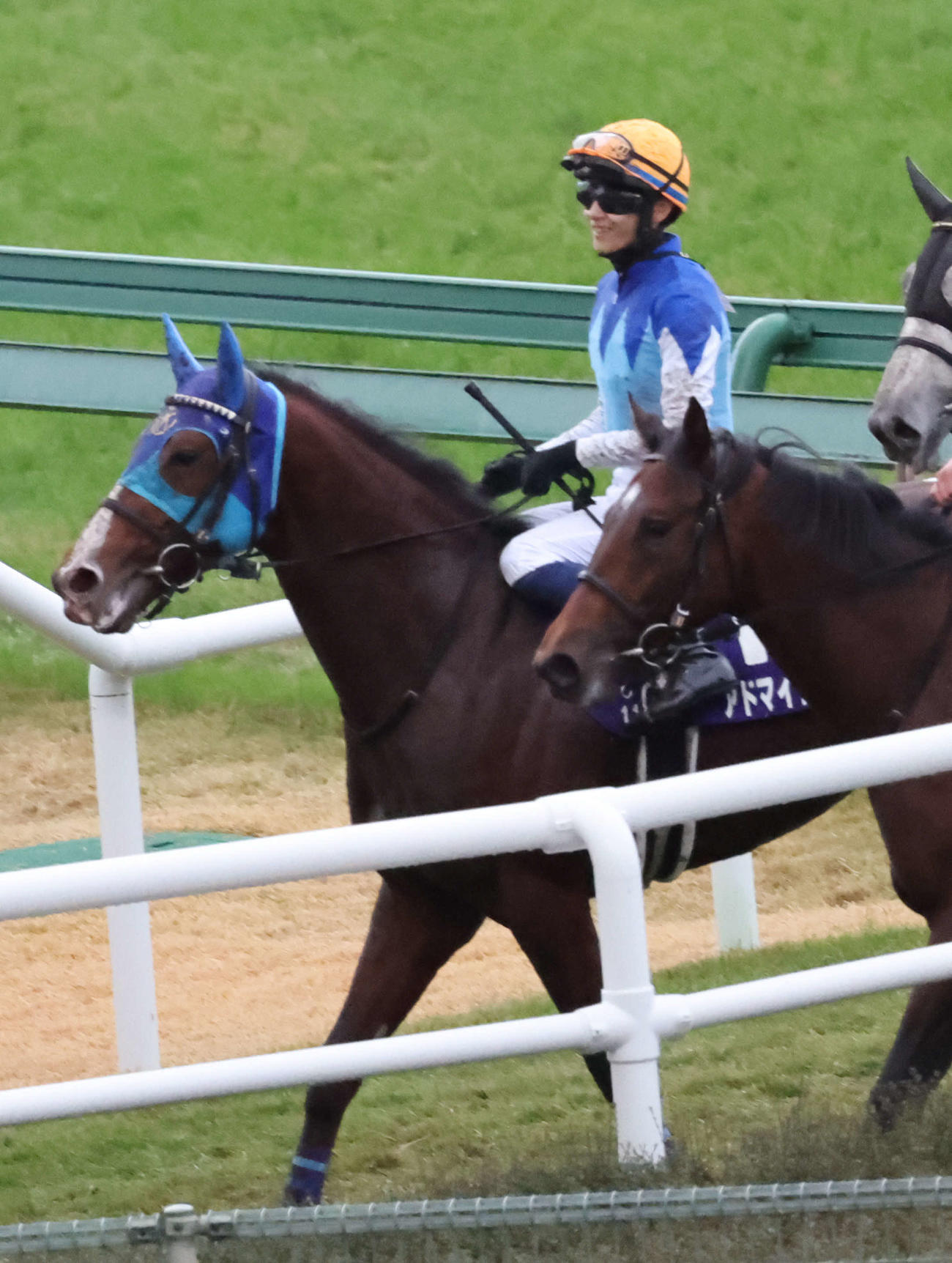 朝日杯FSは1番人気で3着だったアドマイヤクワッズ