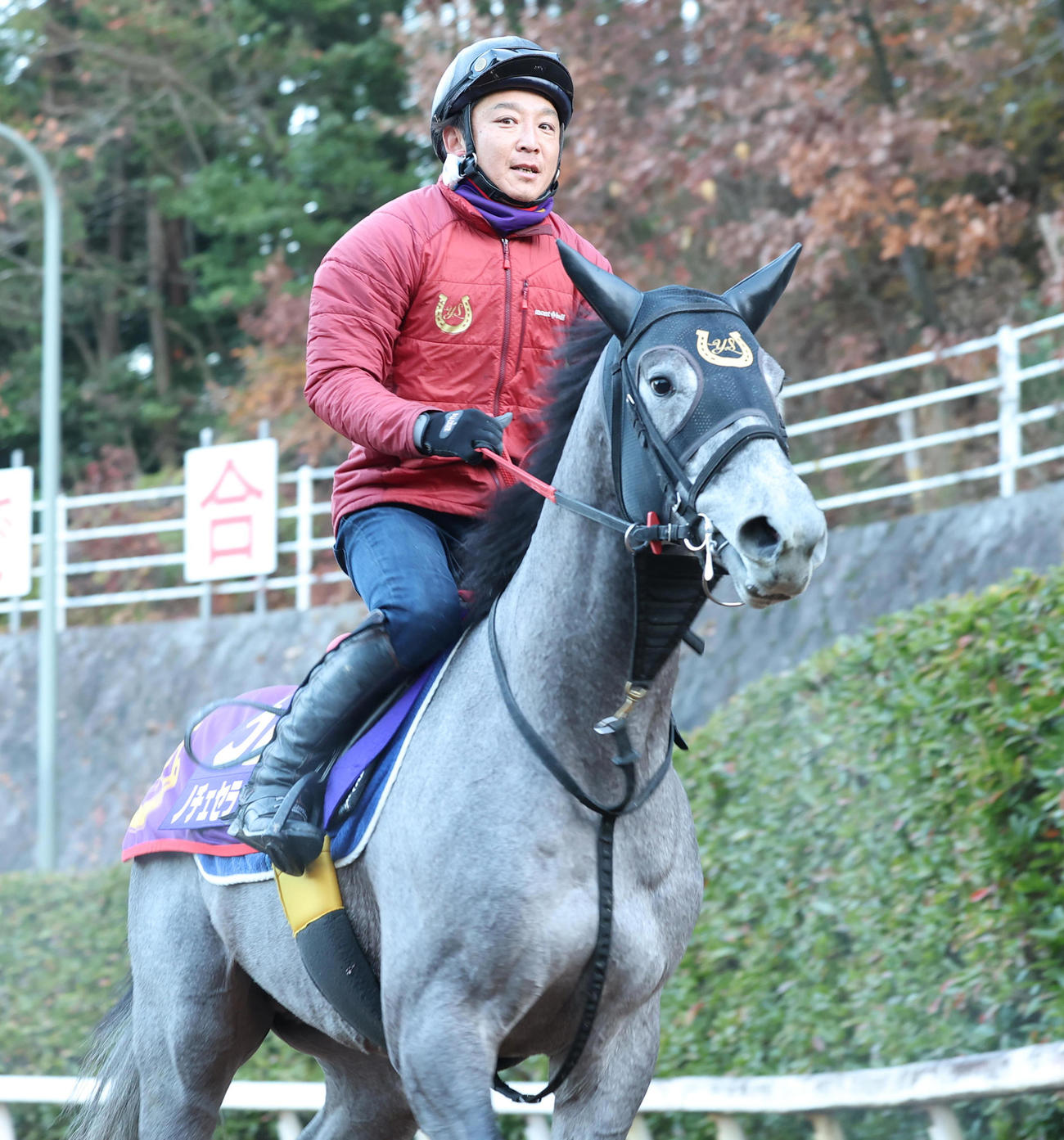 坂路で調整されるノチェセラーダ