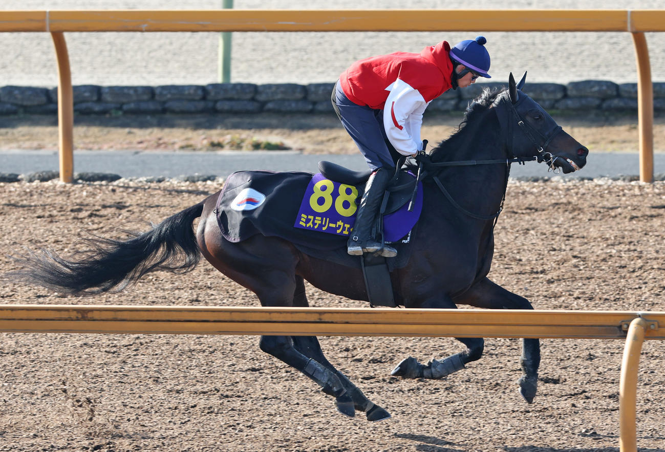 松本騎手を背にCWコースで調整するミステリーウェイ