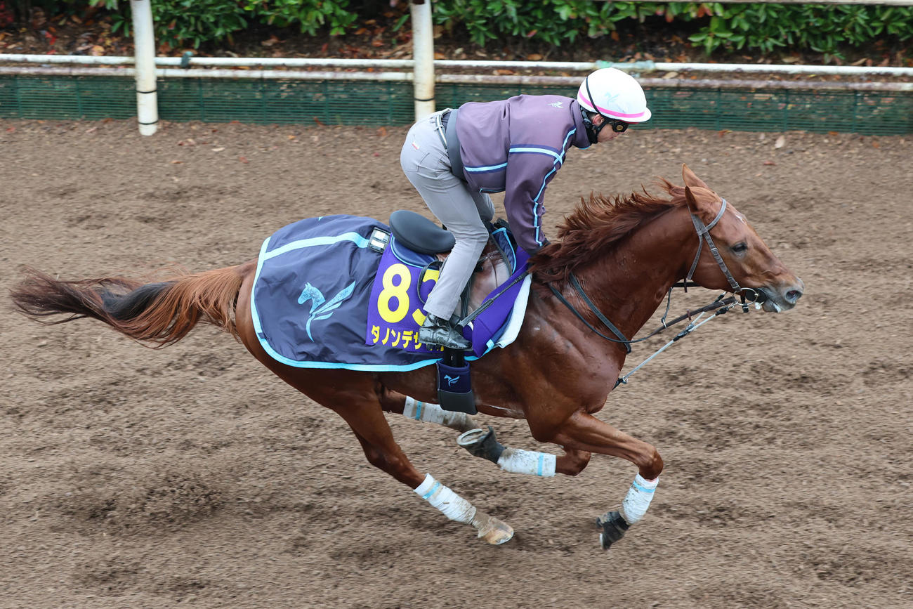 安田翔師が騎乗し、坂路を馬なりで駆け上がるダノンデサイル