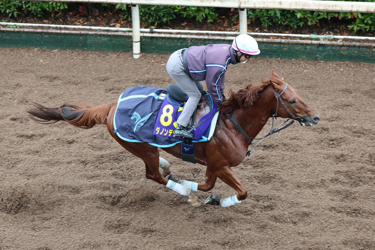 安田翔師が騎乗し、坂路を馬なりで駆け上がるダノンデサイル