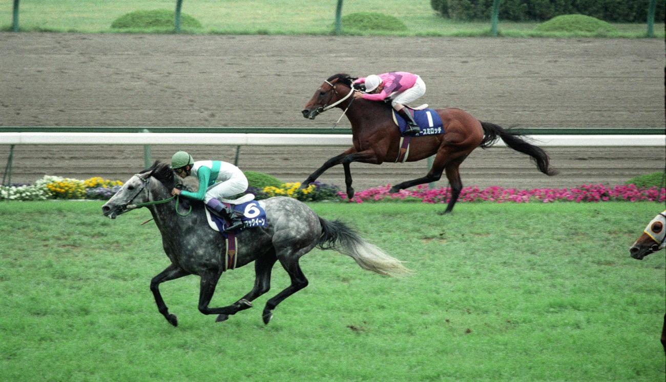 93年、第34回宝塚記念　勝ったメジロマックイーン（左）と内ラチ沿いを粘り3着に入るオースミロッチ