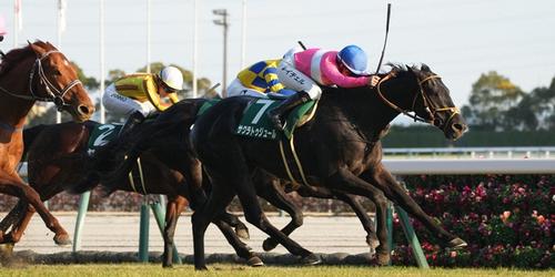 京都金杯を制したサクラトゥジュール＝2025年１月５日