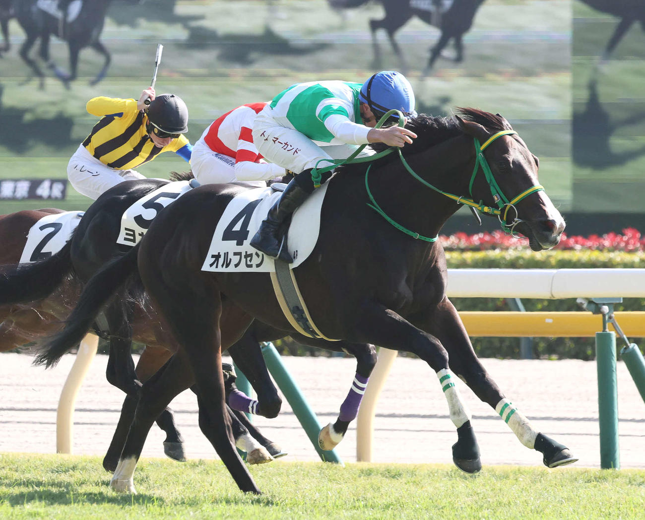 11月15日東京4Rの2歳未勝利戦を制したオルフセン
