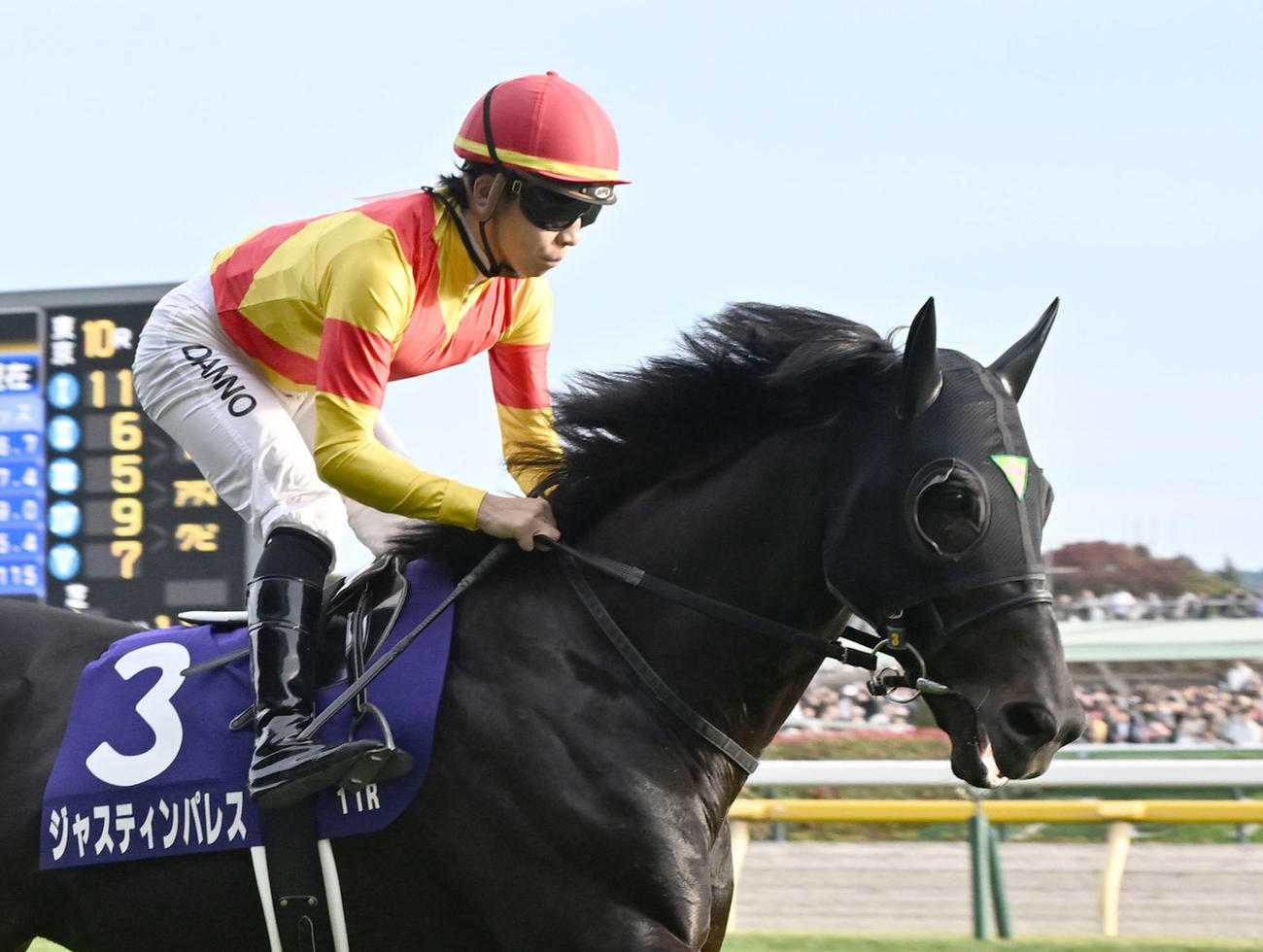 ジャスティンパレスと団野騎手（2025年撮影）