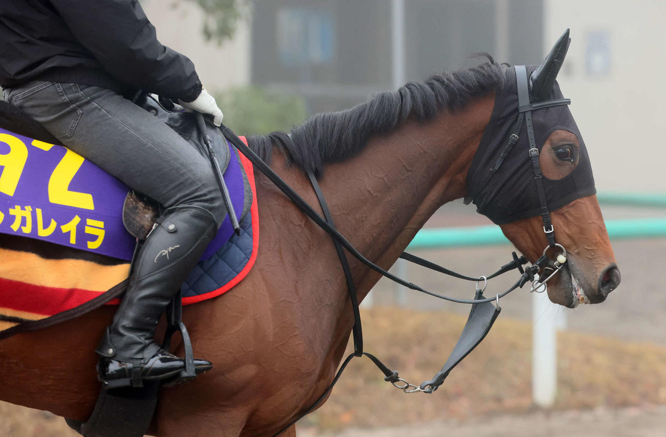 25日、運動を終えて引き揚げるレガレイラ