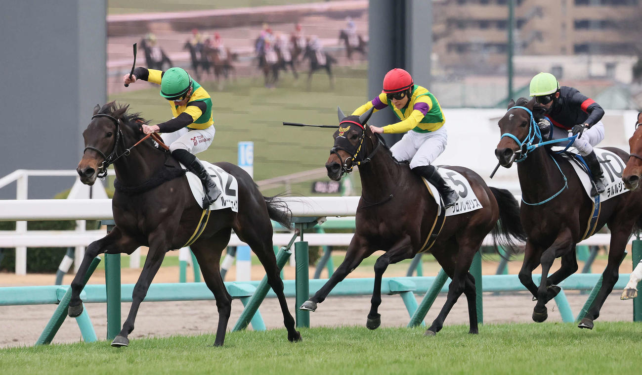 中山5R、2歳新馬戦を制したルールザウェイヴとマーカンド騎手（左）（撮影・丹羽敏通）