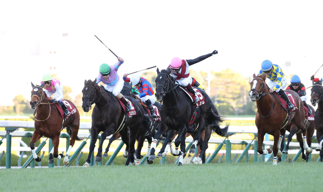 ナムラクレア（左から2頭目）が制した阪神C（撮影・白石智彦）