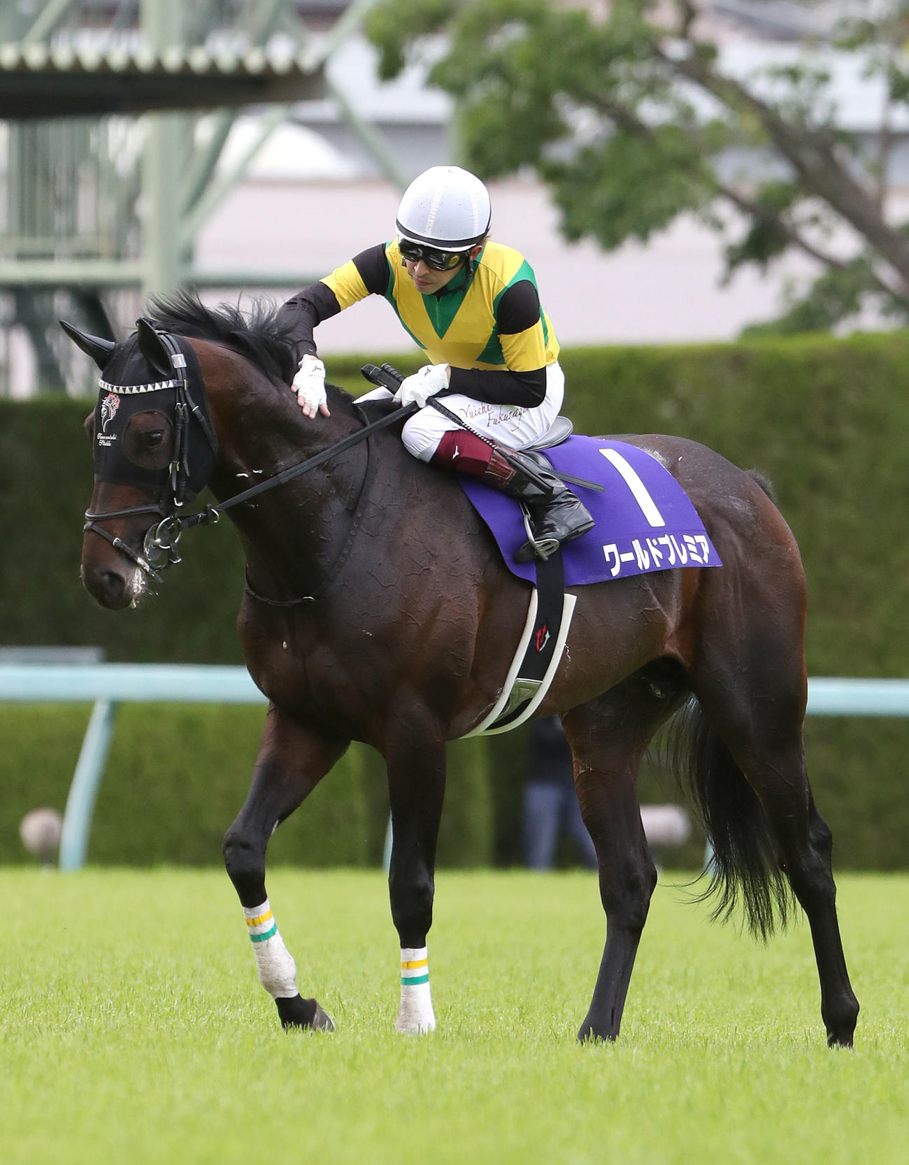 21年天皇賞・春を制したワールドプレミア