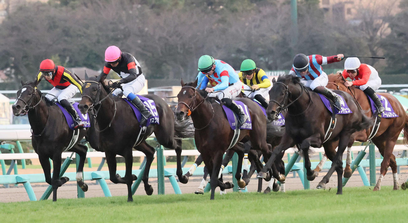 ロブチェン（前列右端）が制したホープフルS（撮影・丹羽敏通）