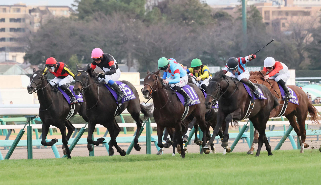 ホープフルS7着に沈んだアンドゥーリル（右から3頭目）（撮影・丹羽敏通）