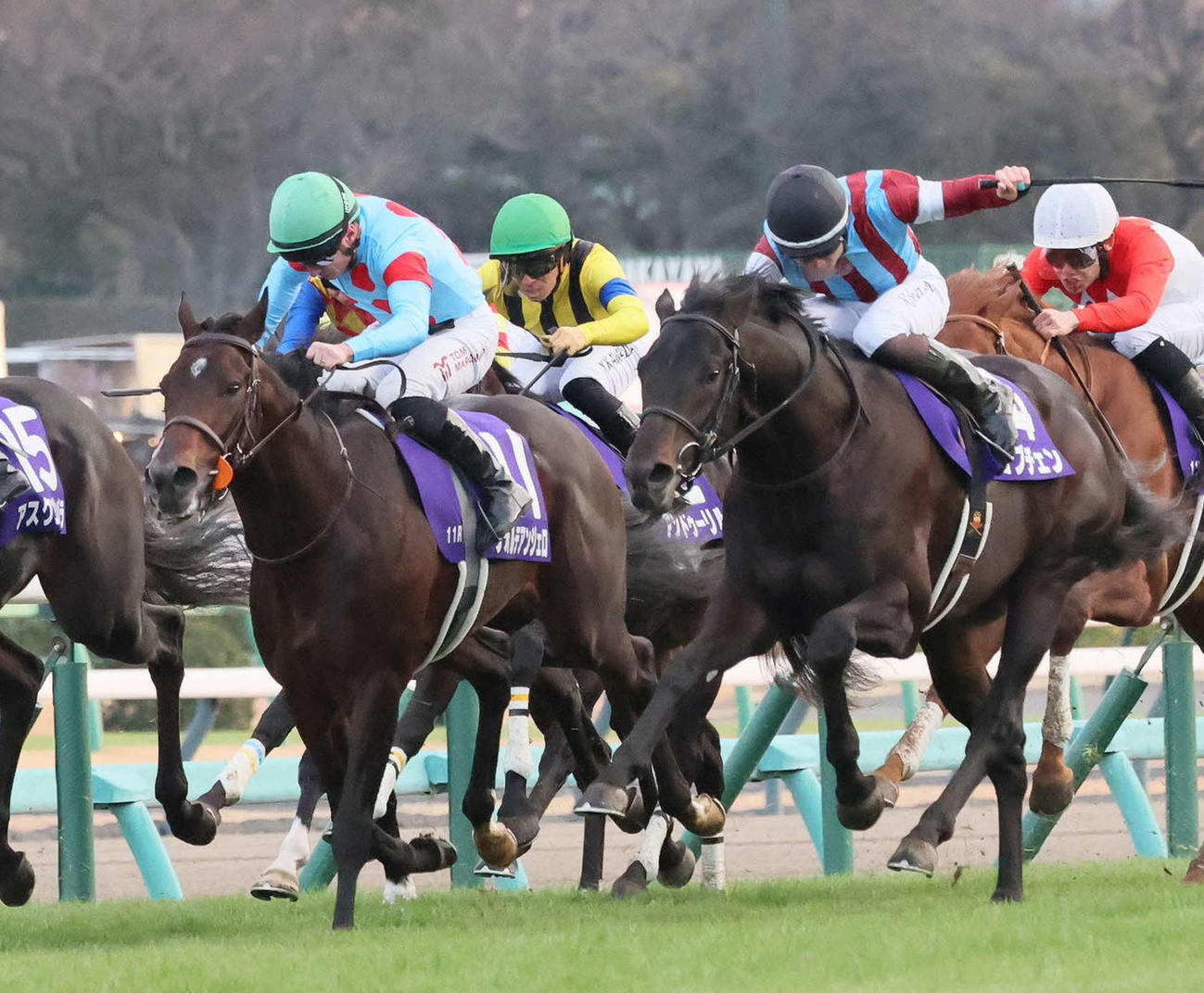 ホープフルS2着に敗れたフォルテアンジェロ（左）。右は勝ったロブチェン（撮影・丹羽敏通）