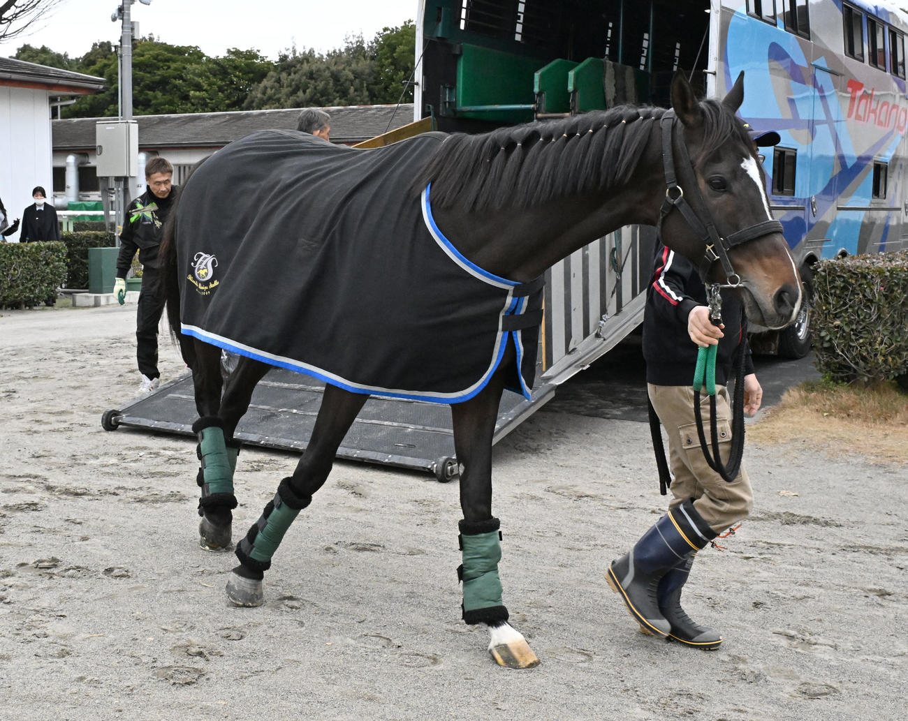 中山競馬場に到着したマイネルエンペラー（撮影・千葉一成）