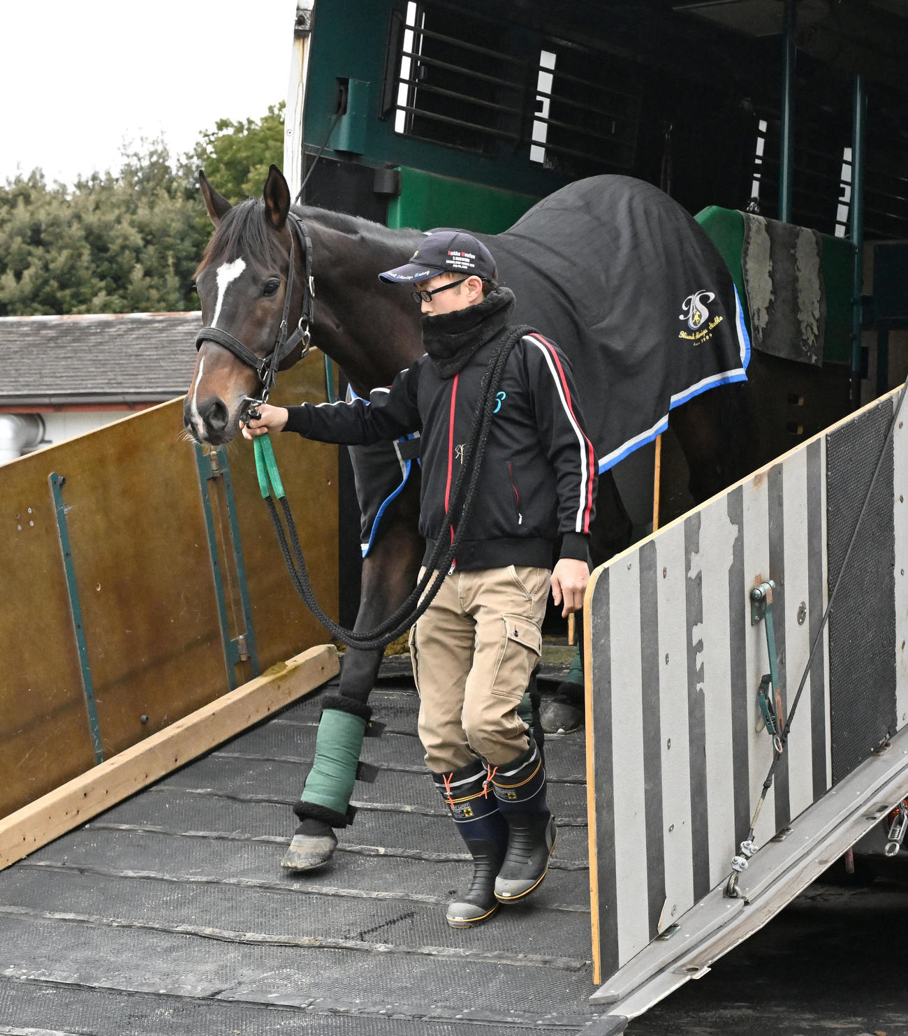 中山競馬場に到着したマイネルエンペラー（撮影・千葉一成）