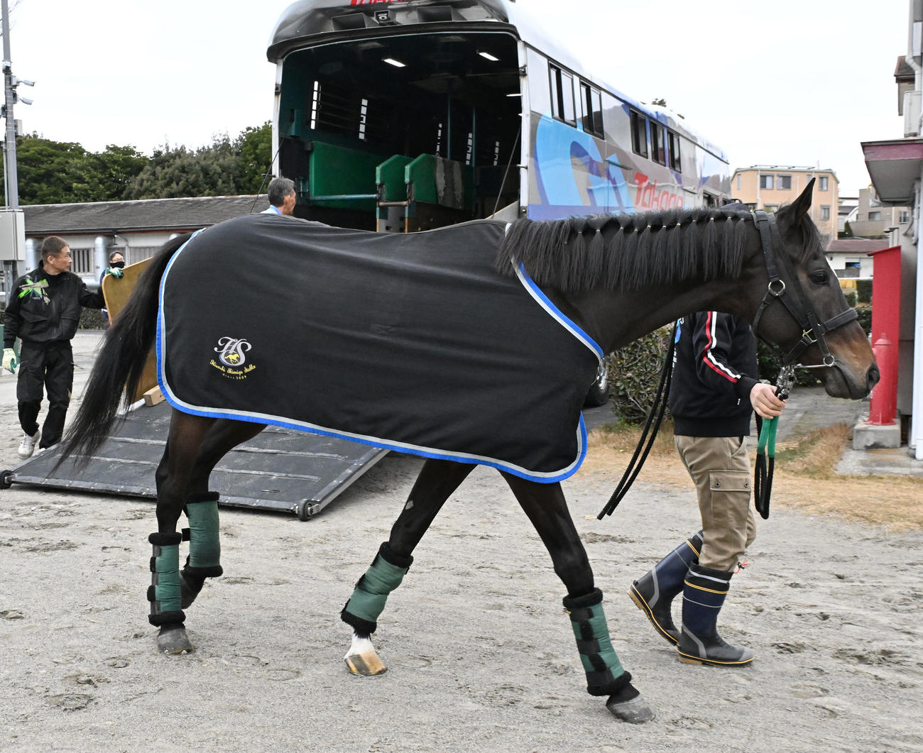 中山競馬場に到着したマイネルエンペラー（撮影・千葉一成）