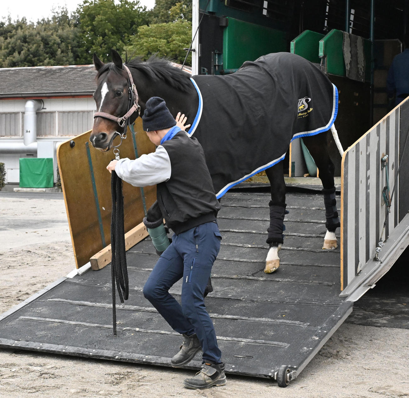 中山競馬場に到着したシュヴァリエローズ（撮影・千葉一成）