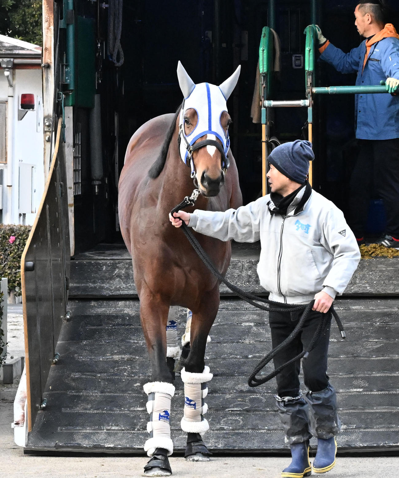 中山競馬場に到着したメイショウタバル（撮影・千葉一成）