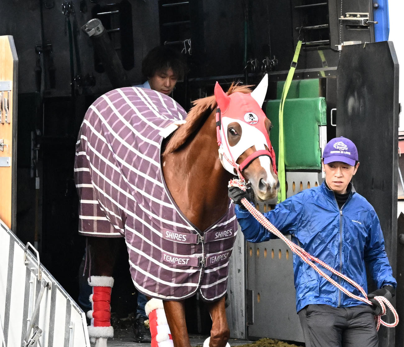 中山競馬場に到着したシンエンペラー（撮影・千葉一成）