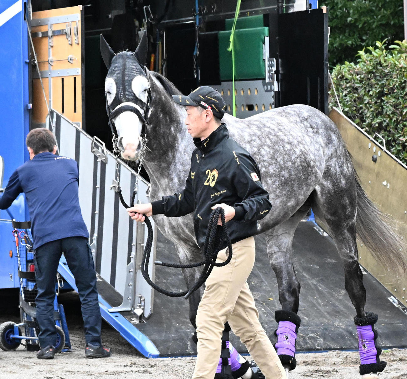 中山競馬場に到着したアドマイヤテラ（撮影・千葉一成）