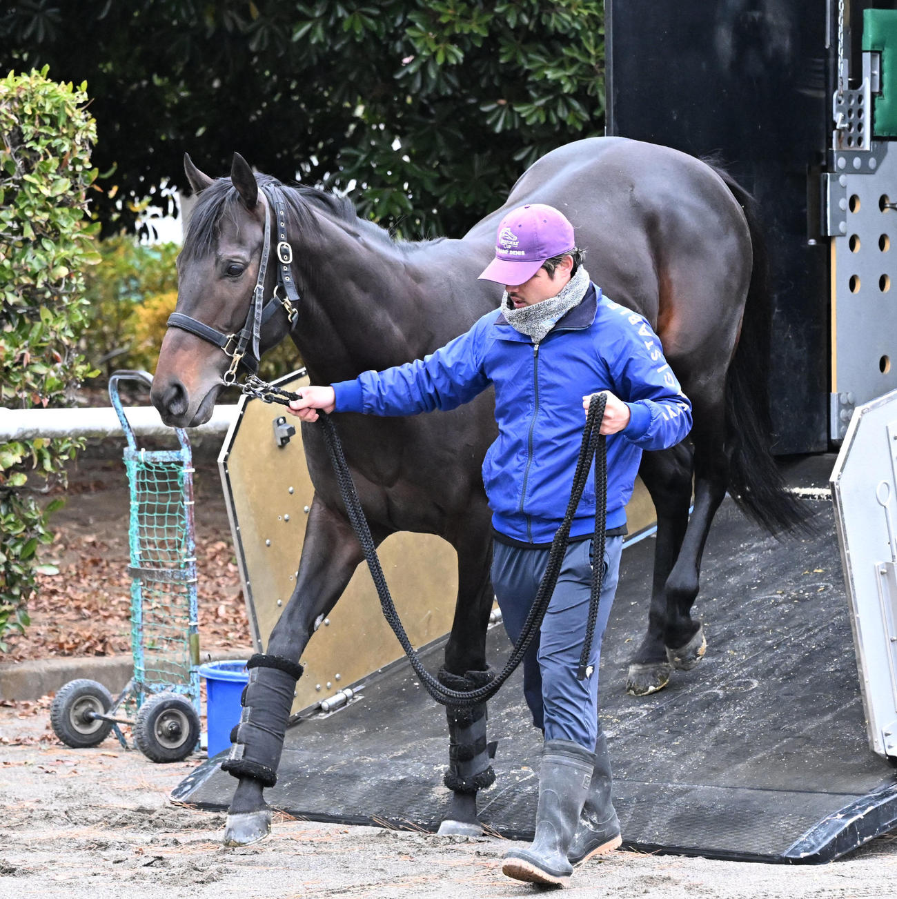 中山競馬場に到着したミュージアムマイル（撮影・千葉一成）