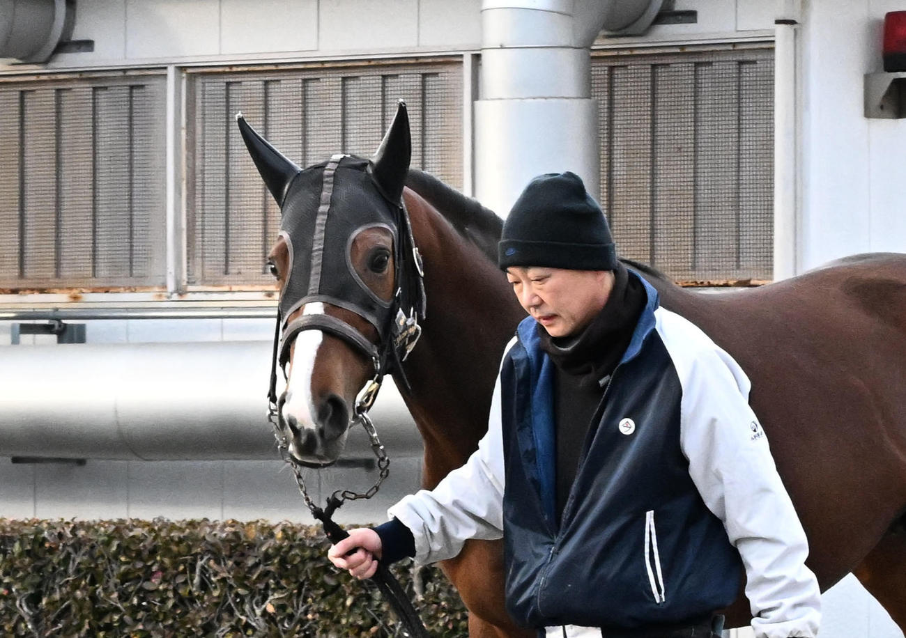 中山競馬場に到着したエキサイトバイオ（撮影・千葉一成）