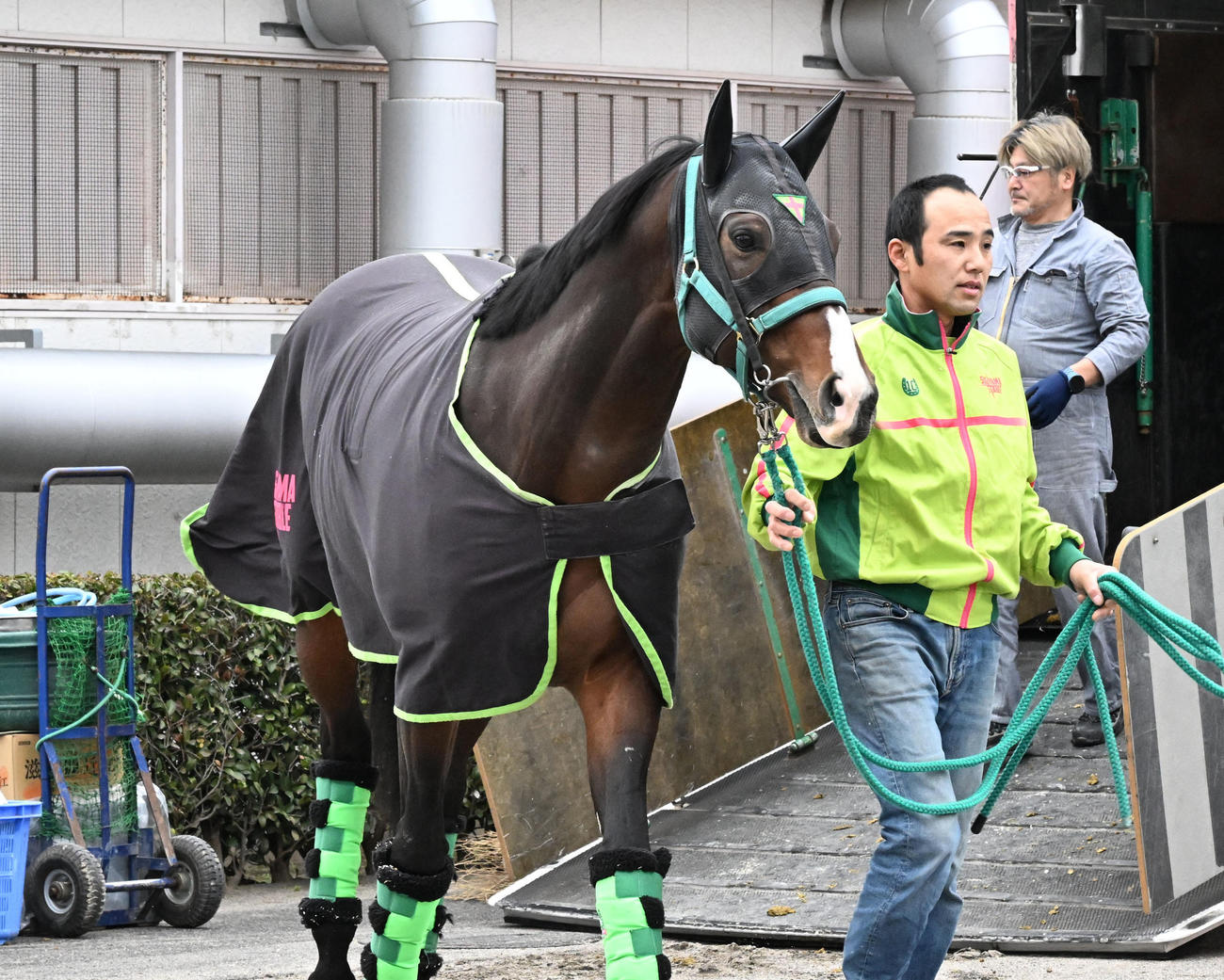 中山競馬場に到着したエルトンバローズ（撮影・千葉一成）