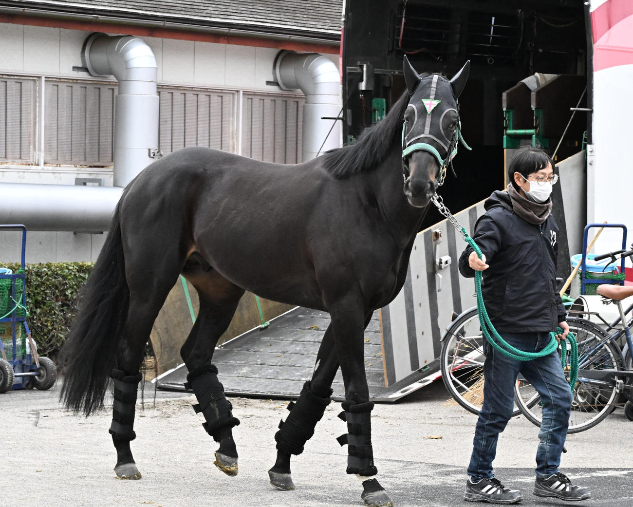 中山競馬場に到着したジャスティンパレス（撮影・千葉一成）