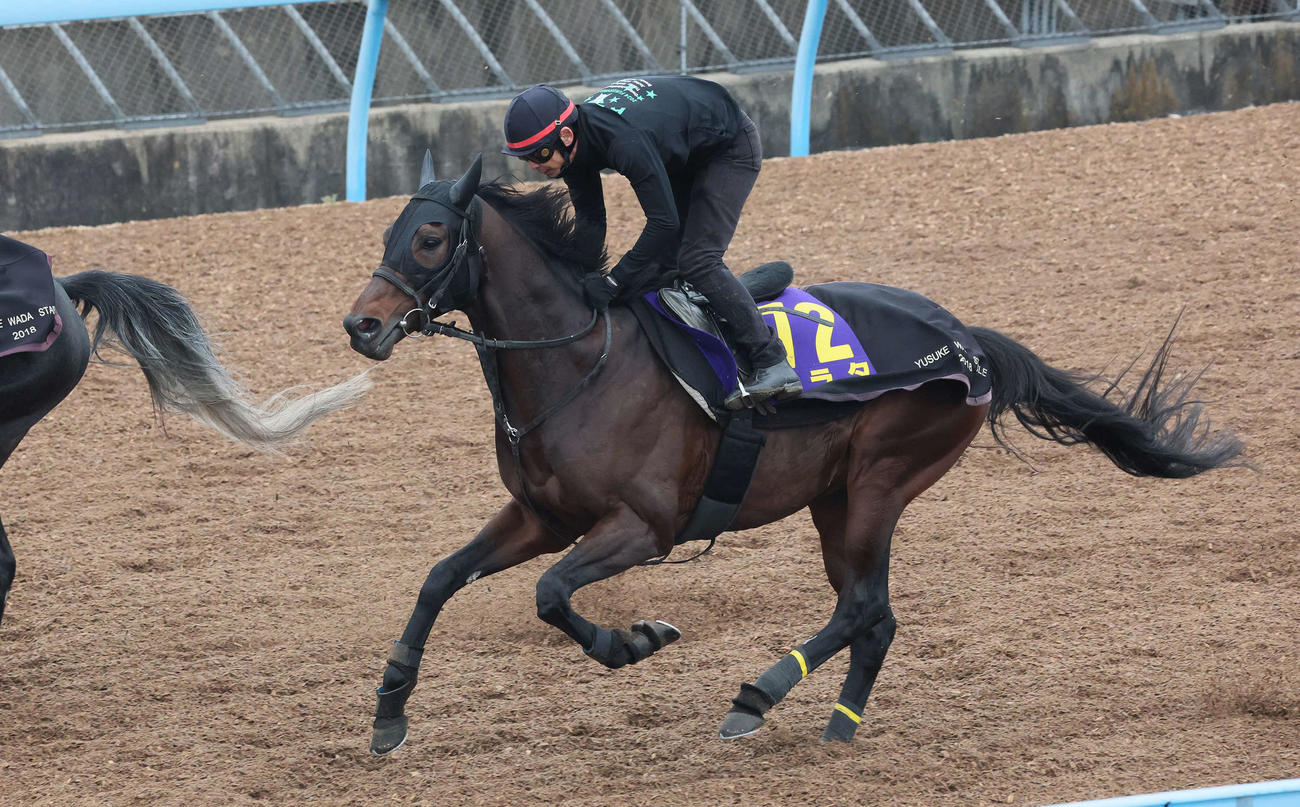 アラタ（2025年12月24日撮影）
