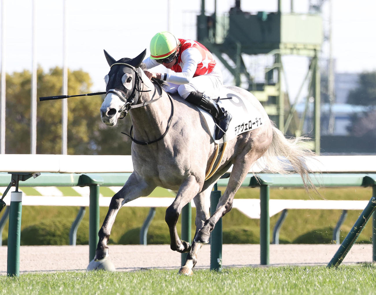 デアヴェローチェで阪神2Rを勝利してJRA通算600勝を達成した岩田望騎手（撮影・白石智彦）