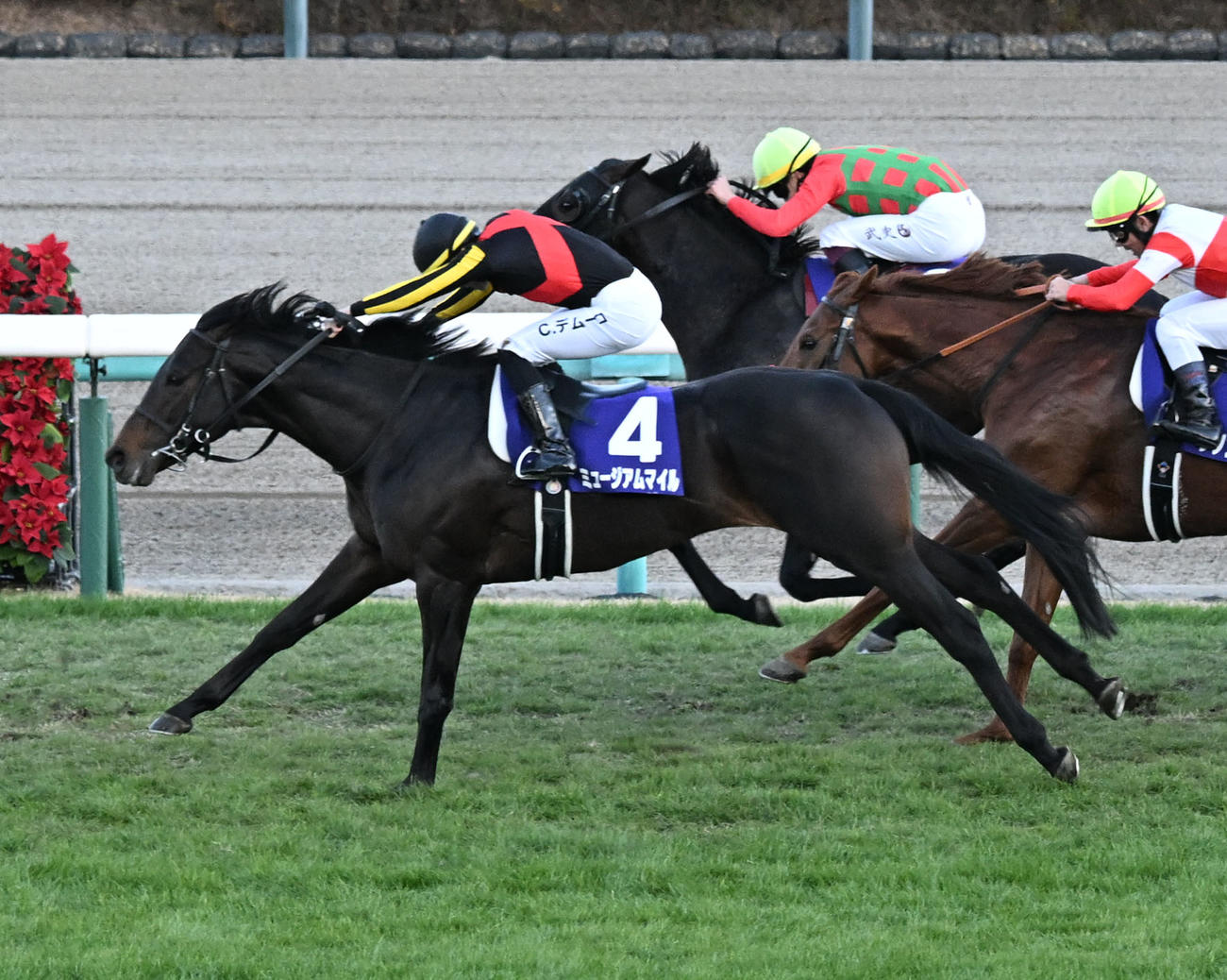 有馬記念を制したミュージアムマイルとC・デムーロ騎手（撮影・千葉一成）